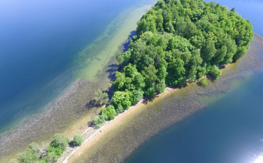 13_Pliksale. S.Kvasinsko nuotr.jpg